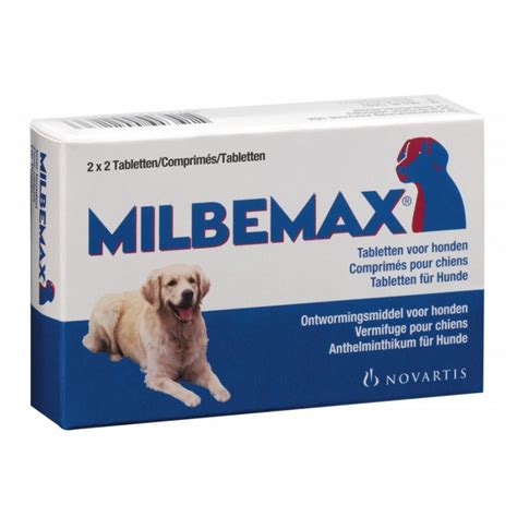 vermifuge pour chien